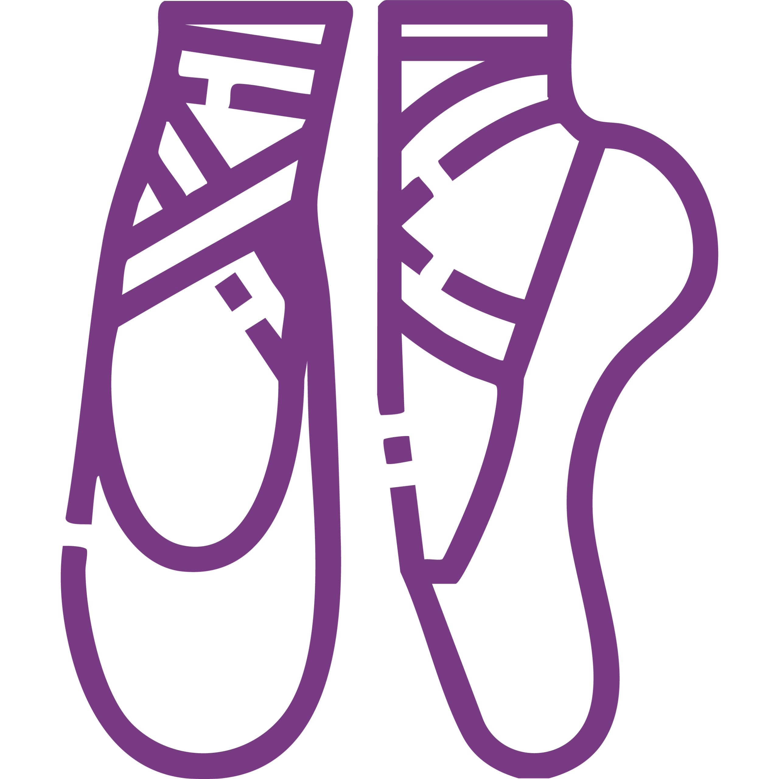 Les Danseuses Adult Ballet Studio